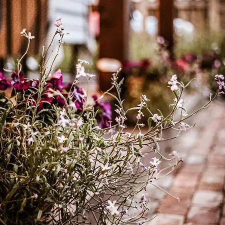 Kaszubski Dom Podcieniowy Bohema Dom wakacyjny