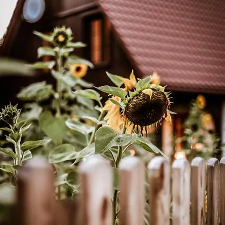 Kaszubski Dom Podcieniowy Bohema Dom wakacyjny