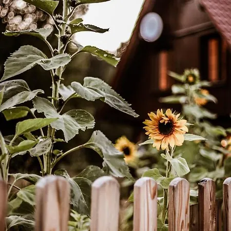 Kaszubski Dom Podcieniowy Bohema Casa vacanze