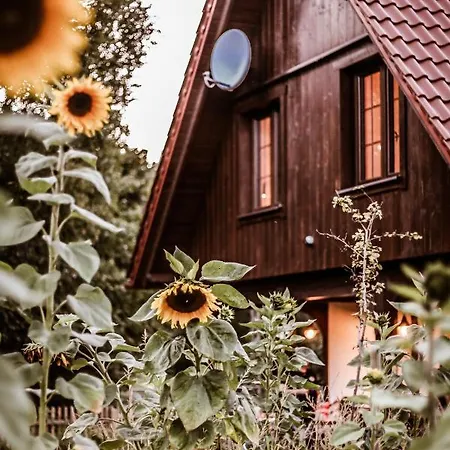 Casa vacanze Kaszubski Dom Podcieniowy Bohema Mezowo