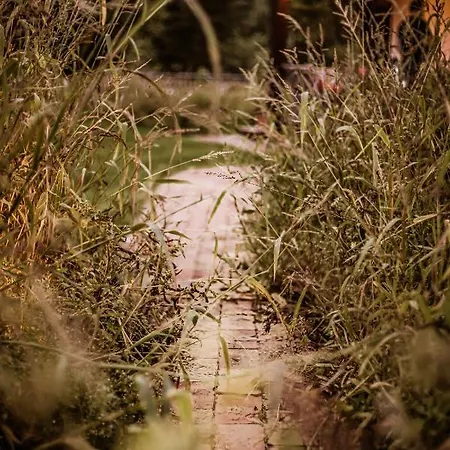 Kaszubski Dom Podcieniowy Bohema Mezowo