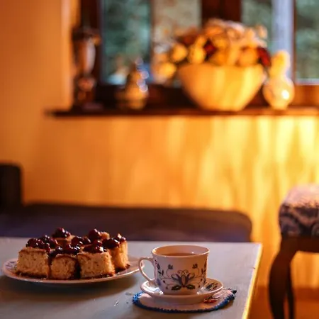 Dom wakacyjny Kaszubski Dom Podcieniowy Bohema Mezowo