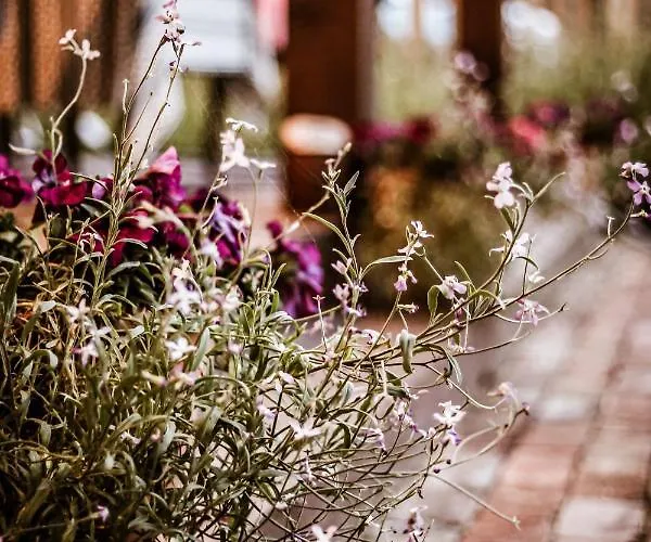 Kaszubski Dom Podcieniowy Bohema بيت للعطل