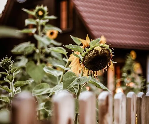 Kaszubski Dom Podcieniowy Bohema Дом отдыха