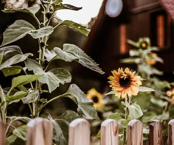 Kaszubski Dom Podcieniowy Bohema بيت للعطل