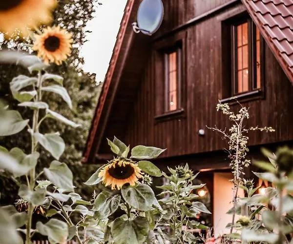 بيت للعطل Kaszubski Dom Podcieniowy Bohema Mezowo