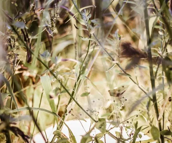 Kaszubski Dom Podcieniowy Bohema بيت للعطل *