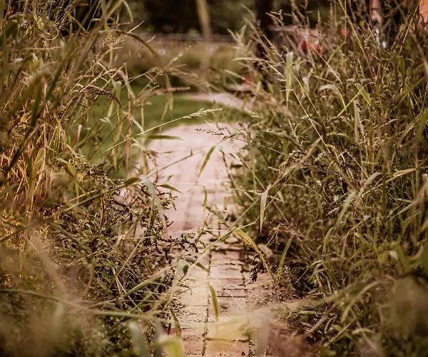 Kaszubski Dom Podcieniowy Bohema Mezowo