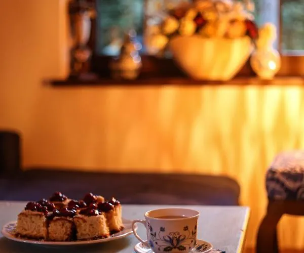 بيت للعطل Kaszubski Dom Podcieniowy Bohema Mezowo